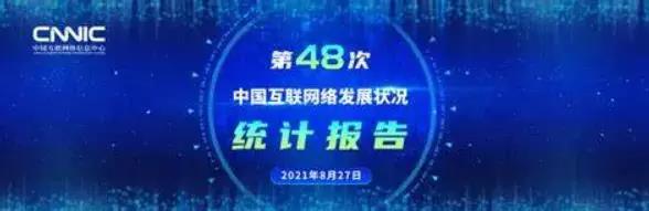 CNNIC发布第48次《中国互联网络发展状况统计报告》.jpg